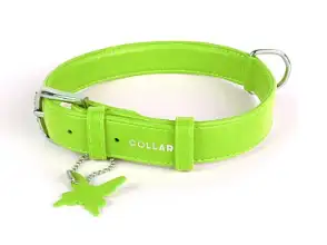 Купить СКИДКА collar ошейник для собак без украшений (зеленый)