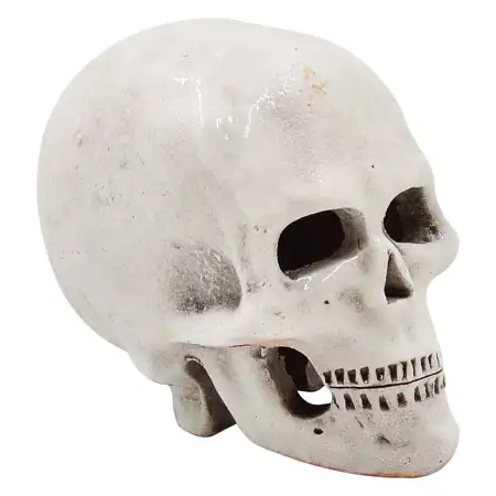 Купить zooexpress Грот Череп Г4 для аквариума